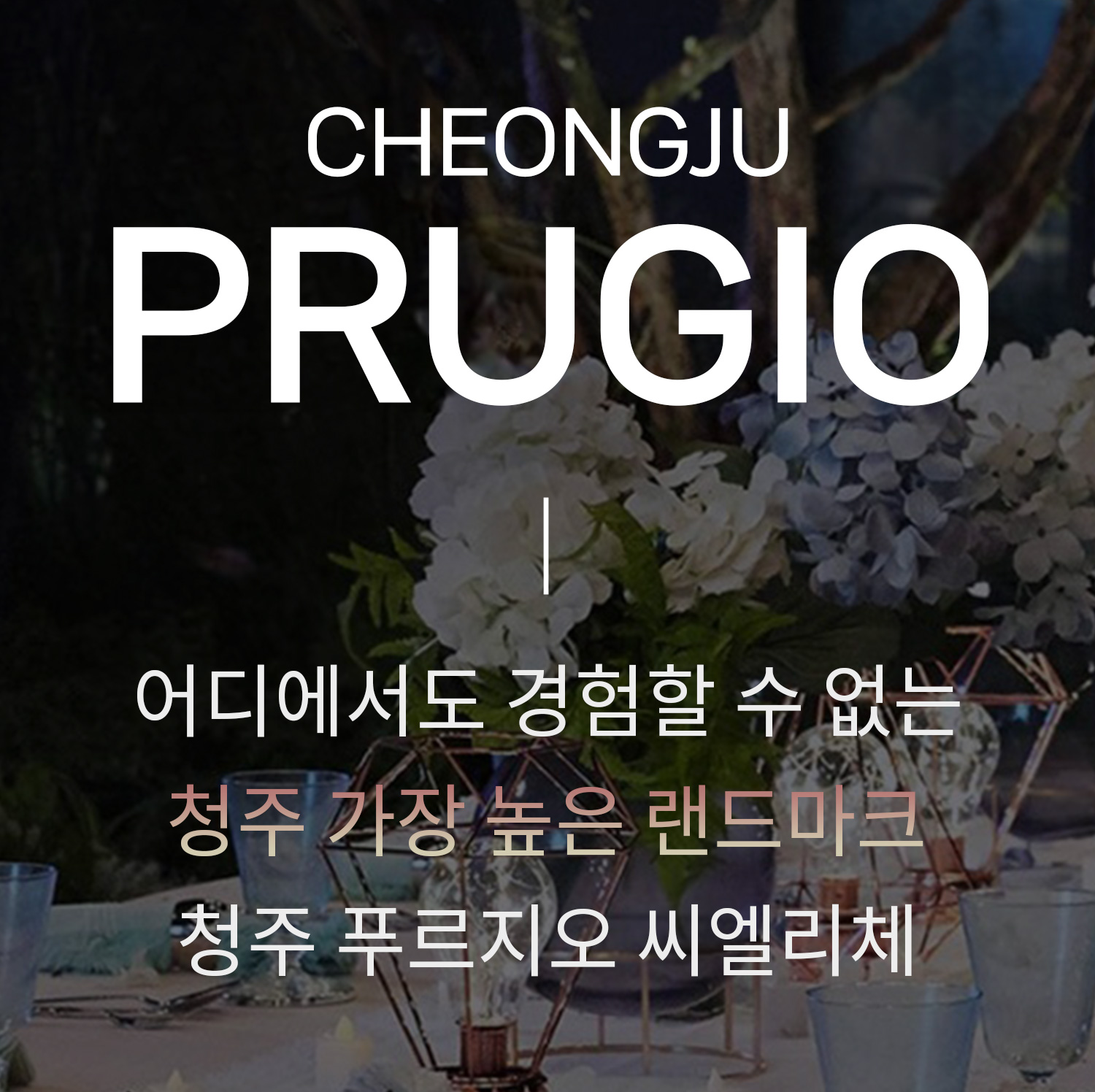 청주 푸르지오 씨엘리체 회사보유분